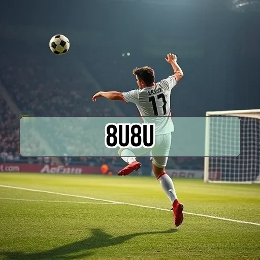 8u8u.com Estratégia